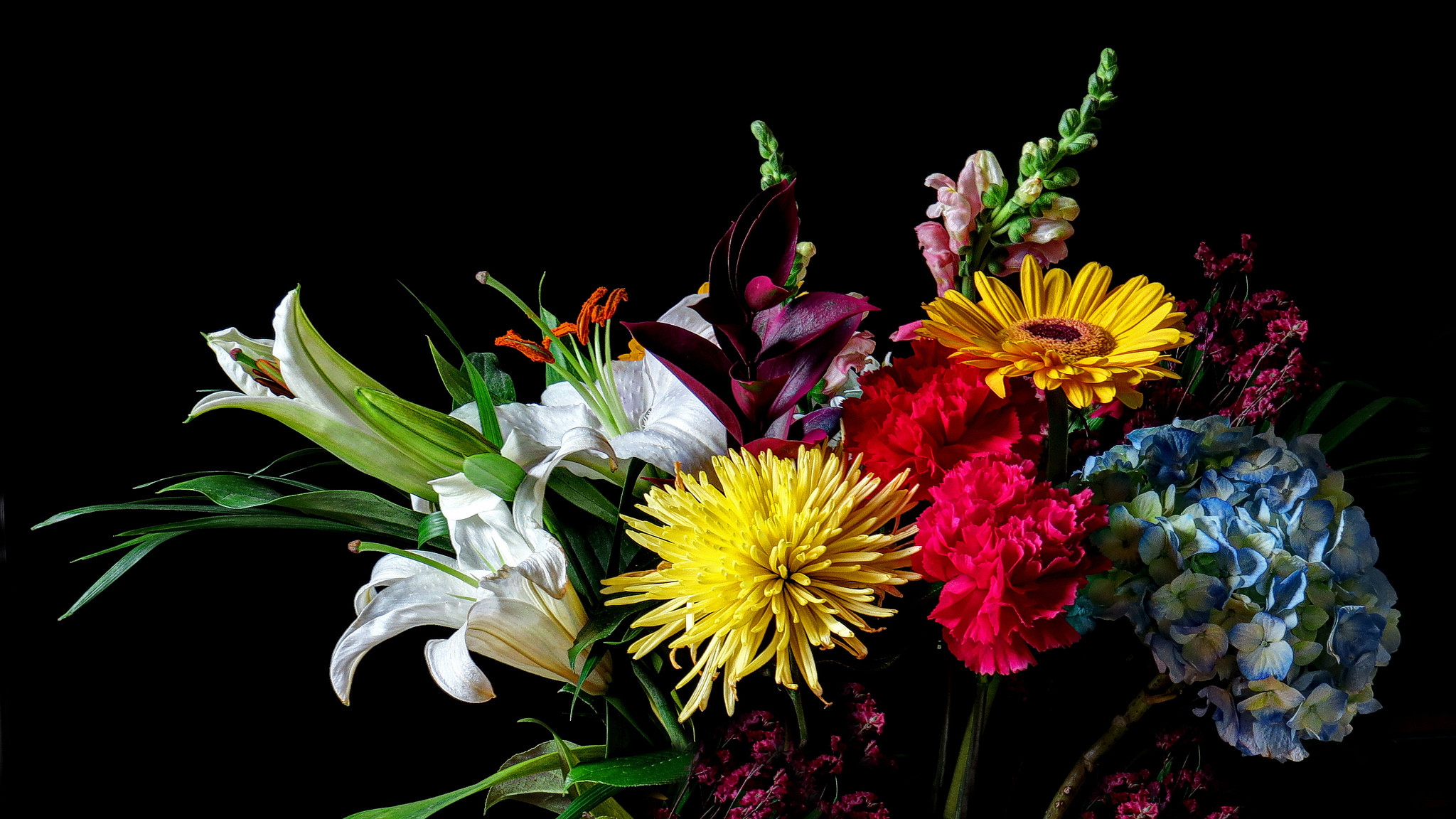 Обои флора полевые цветы букет на рабочий стол