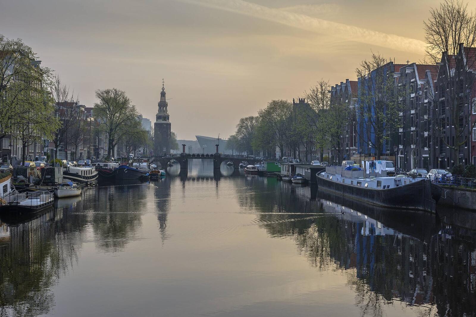 桌面上的壁纸荷兰首都和最大城市 位于北荷兰省 城市