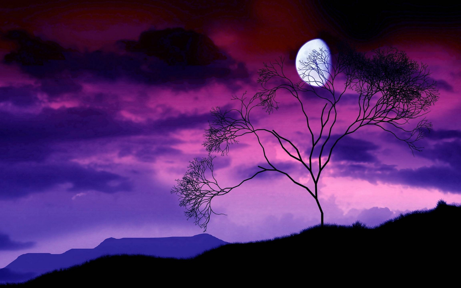 Wallpapers night mountains tree on the desktop