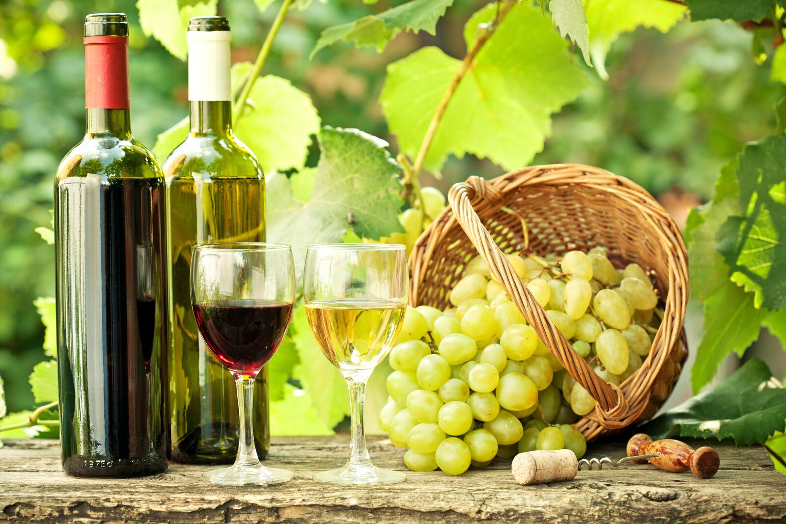 Wallpapers grapes wine still life on the desktop