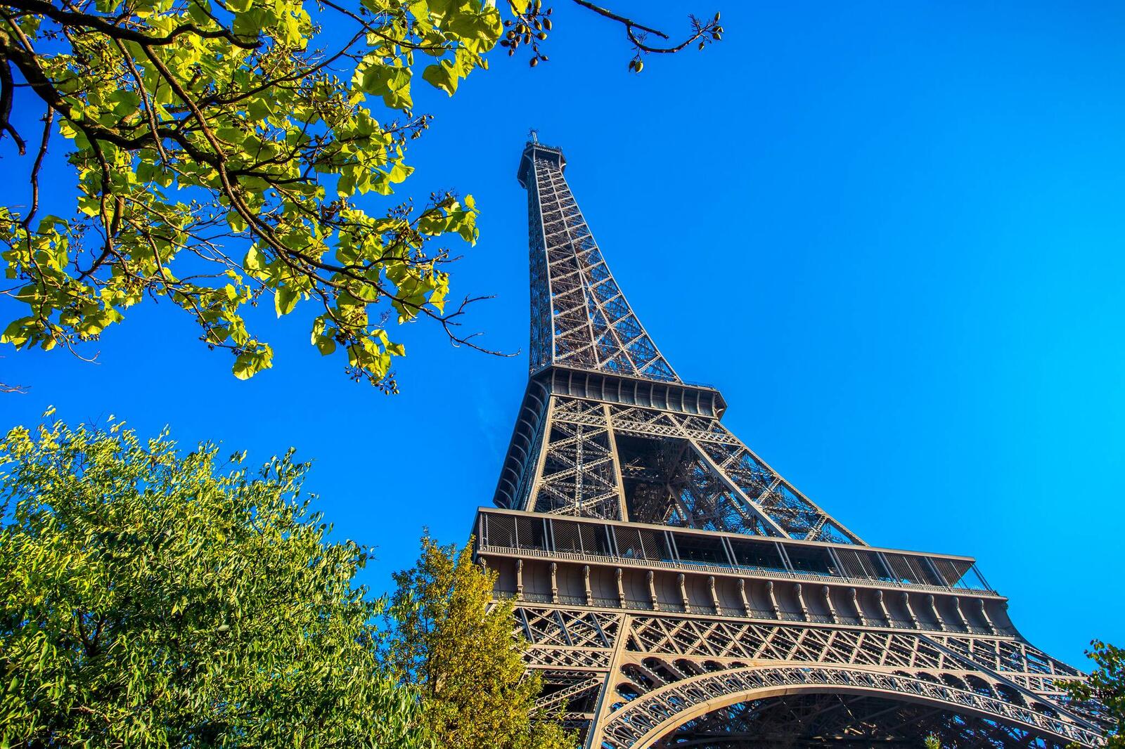 Wallpapers green foliage Eiffel Tower France on the desktop