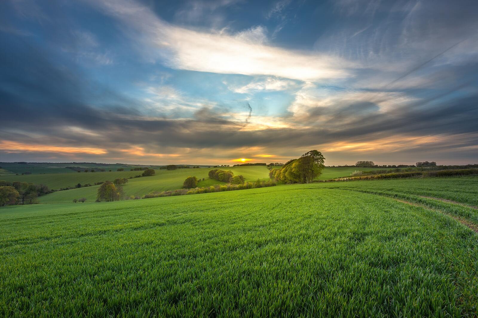 Wallpapers Wiltshire sunset field on the desktop