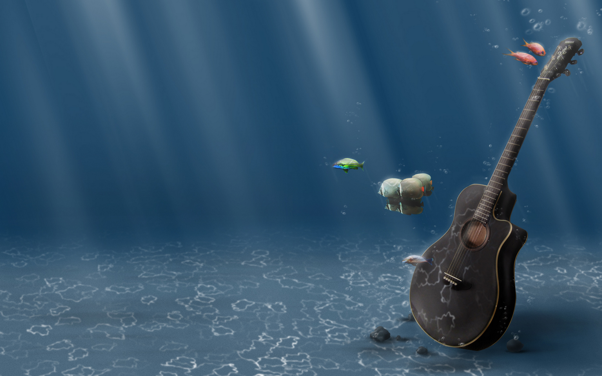 Фото бесплатно водоем, гитара, рыбы