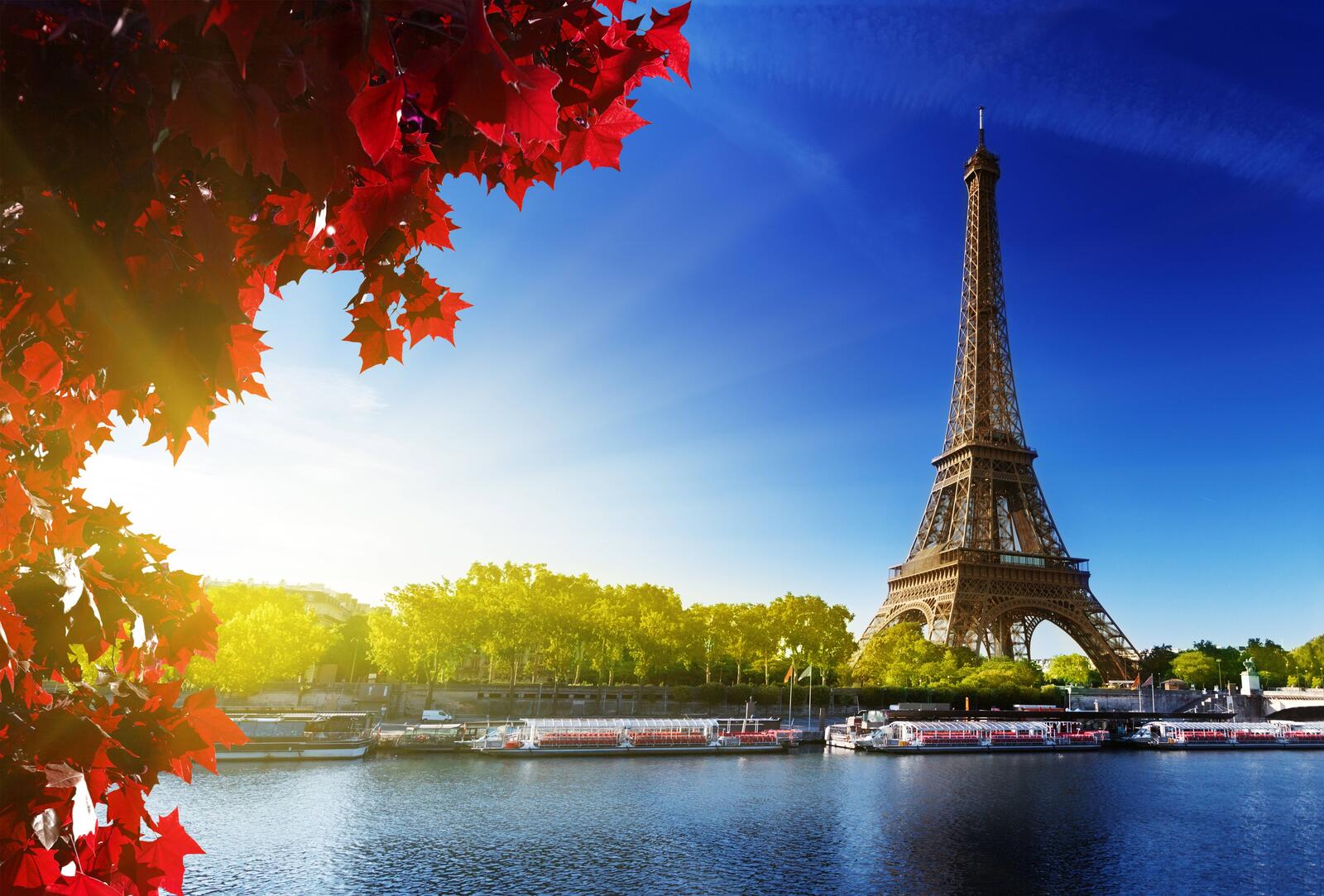 Обои город красные листья Париж на рабочий стол