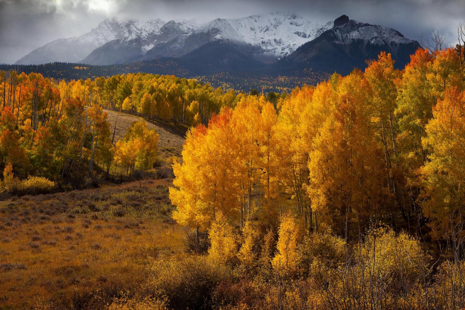 Обои холмы осень Колорадо на рабочий стол