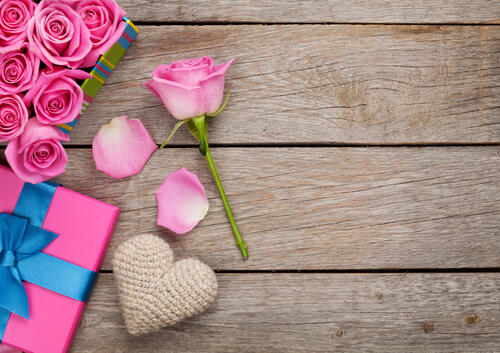 Pink roses for Valentine`s Day