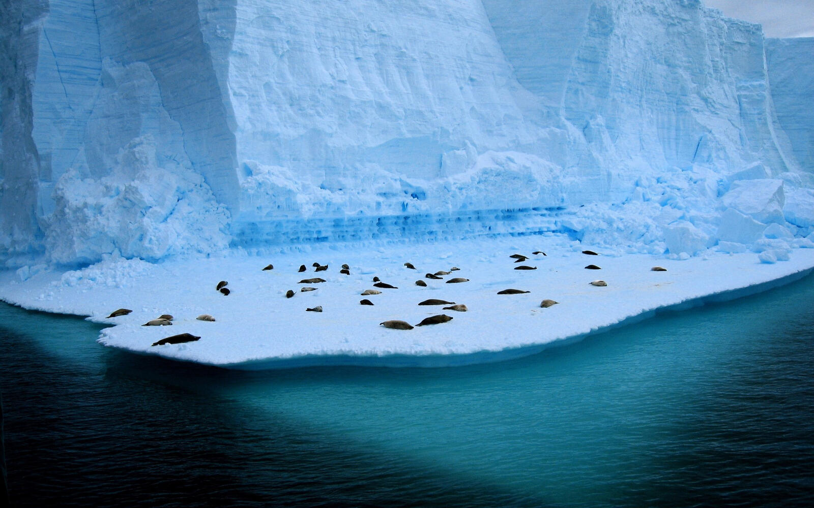 Обои север море айсберг на рабочий стол