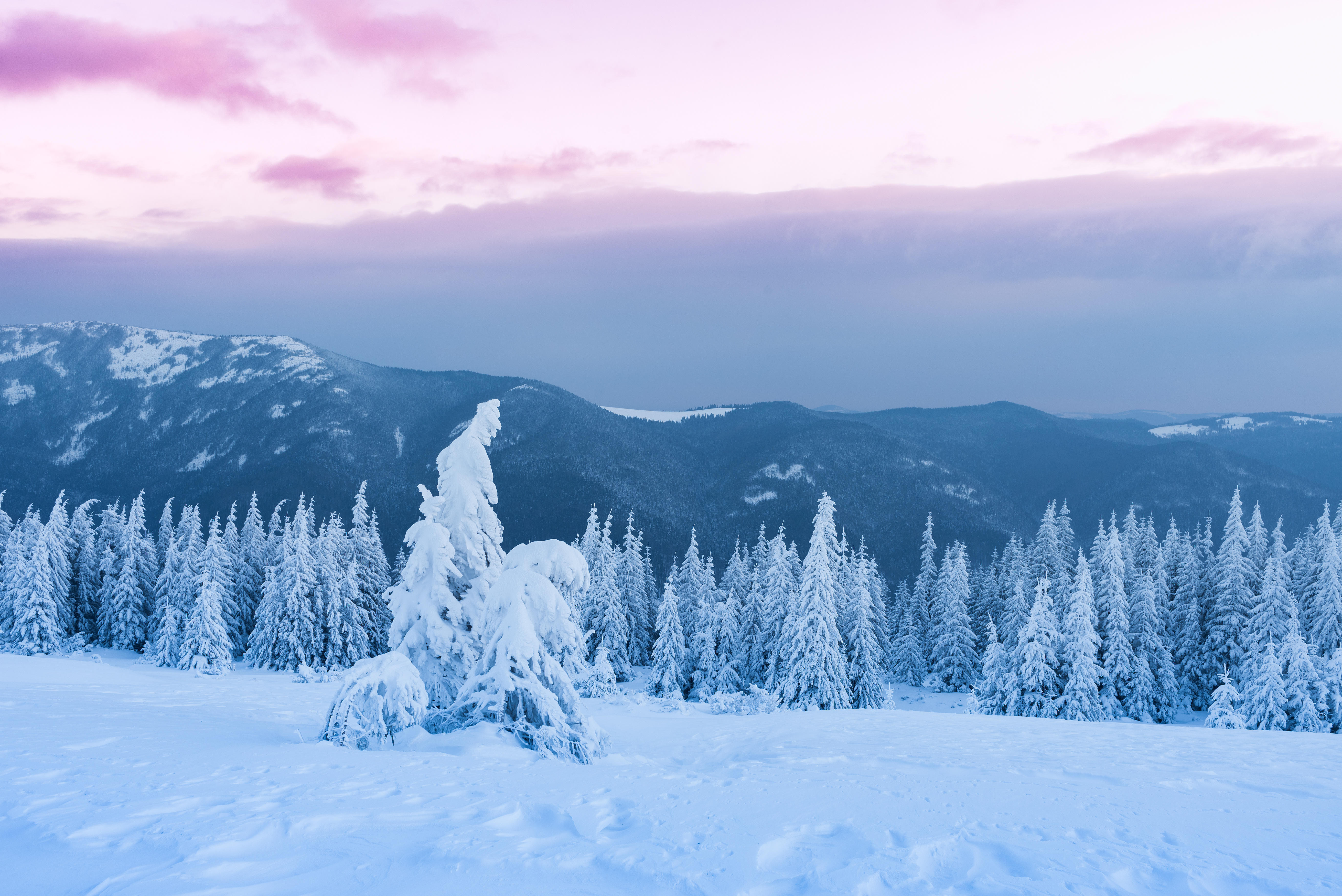 Фото снег на деревьях пейзажи горы - бесплатные картинки на Fonwall