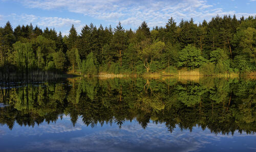 Wallpaper waldsee, germany on the desktop high quality