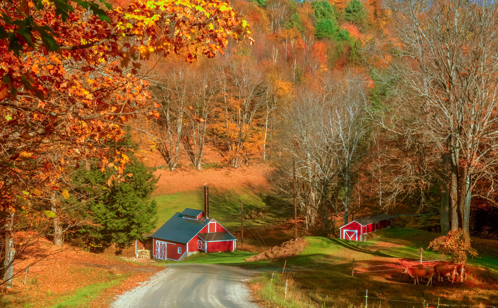 Wallpapers Vermont Autumn Brook Farm on the desktop