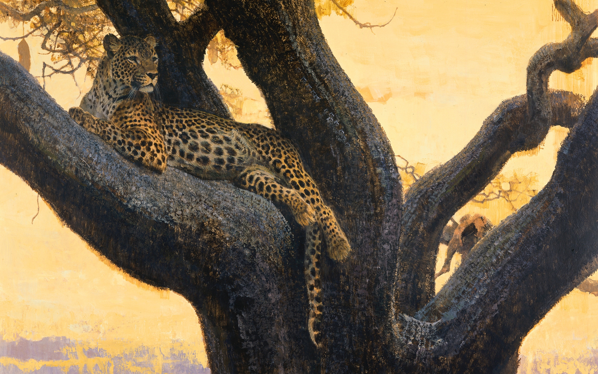 Wallpapers tree wild cat leopard on the desktop
