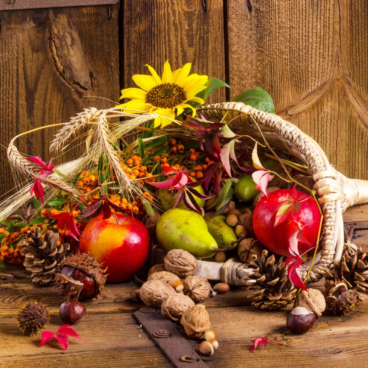 Photo basket, autumn leaves on your desktop