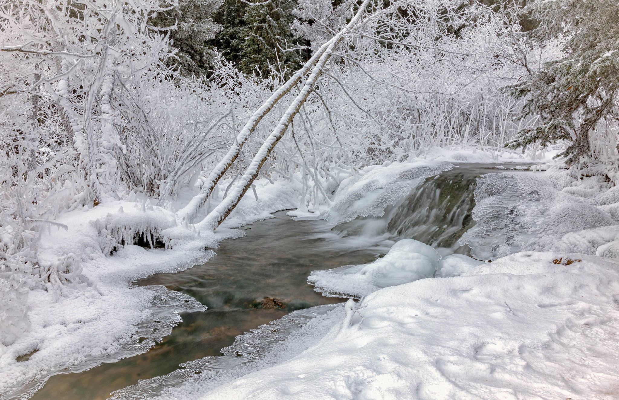 Фото бесплатно зима, ручей, лес
