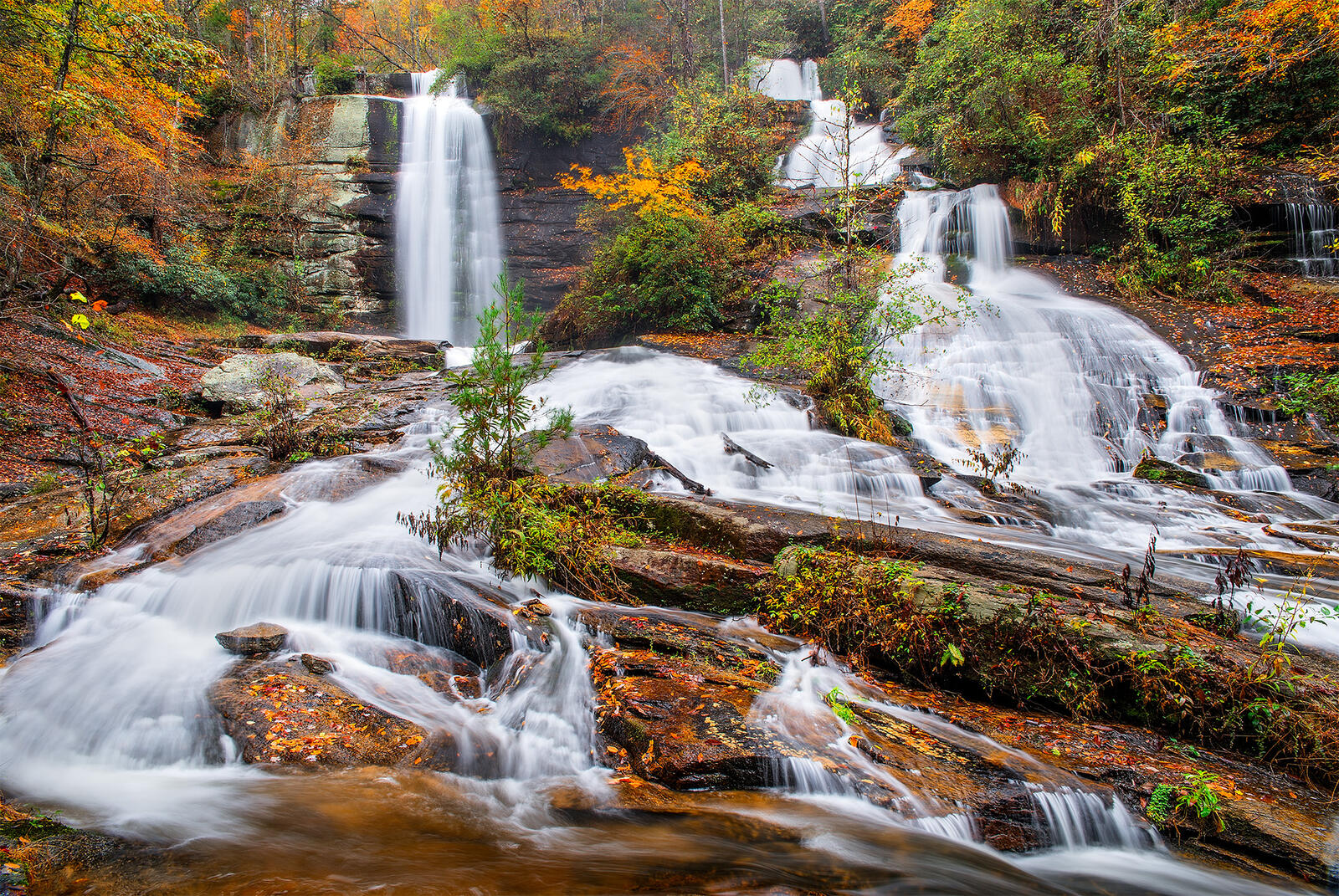 Wallpapers South Carolina Waterfalls forest on the desktop