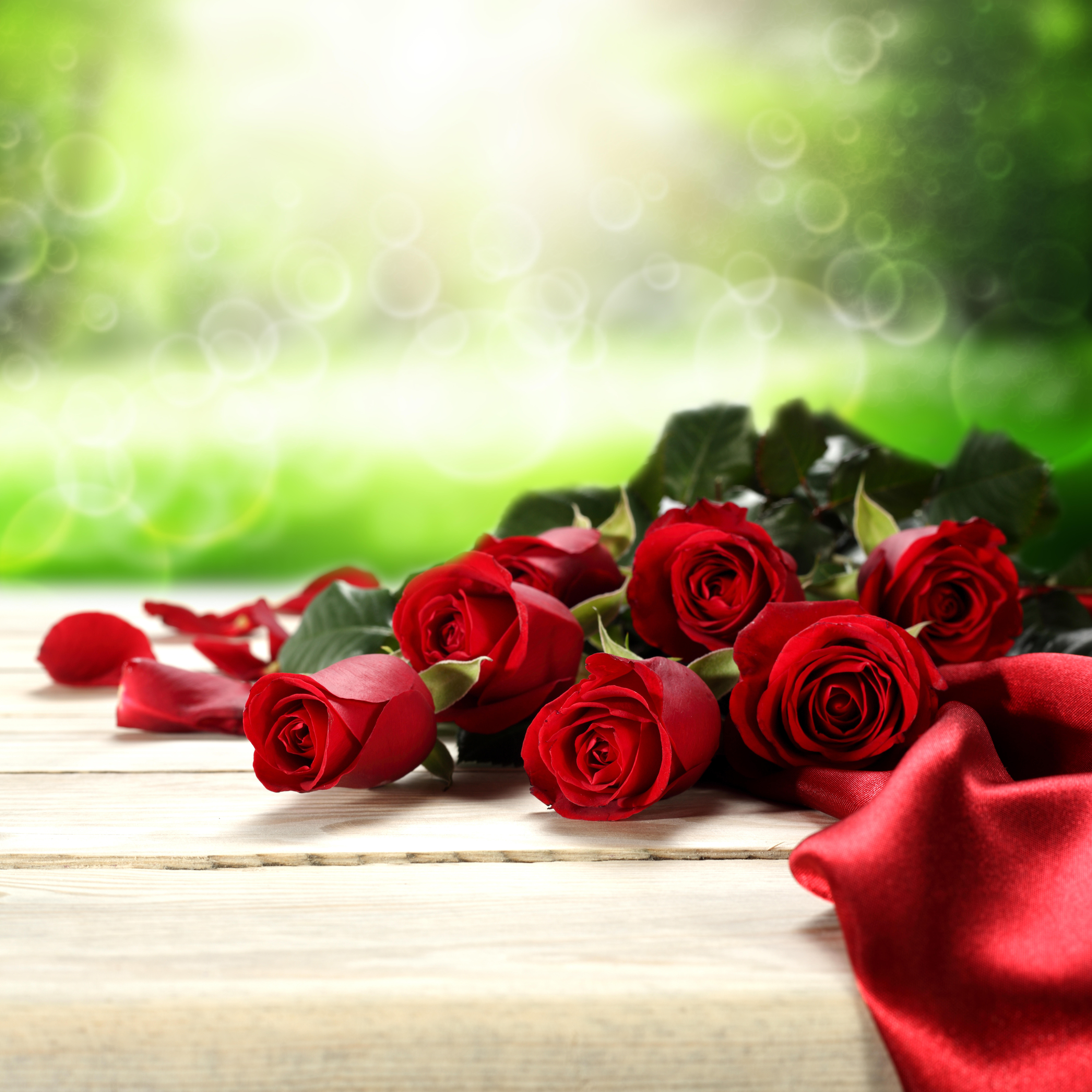 Обои красивые цветы букет розы на рабочий стол