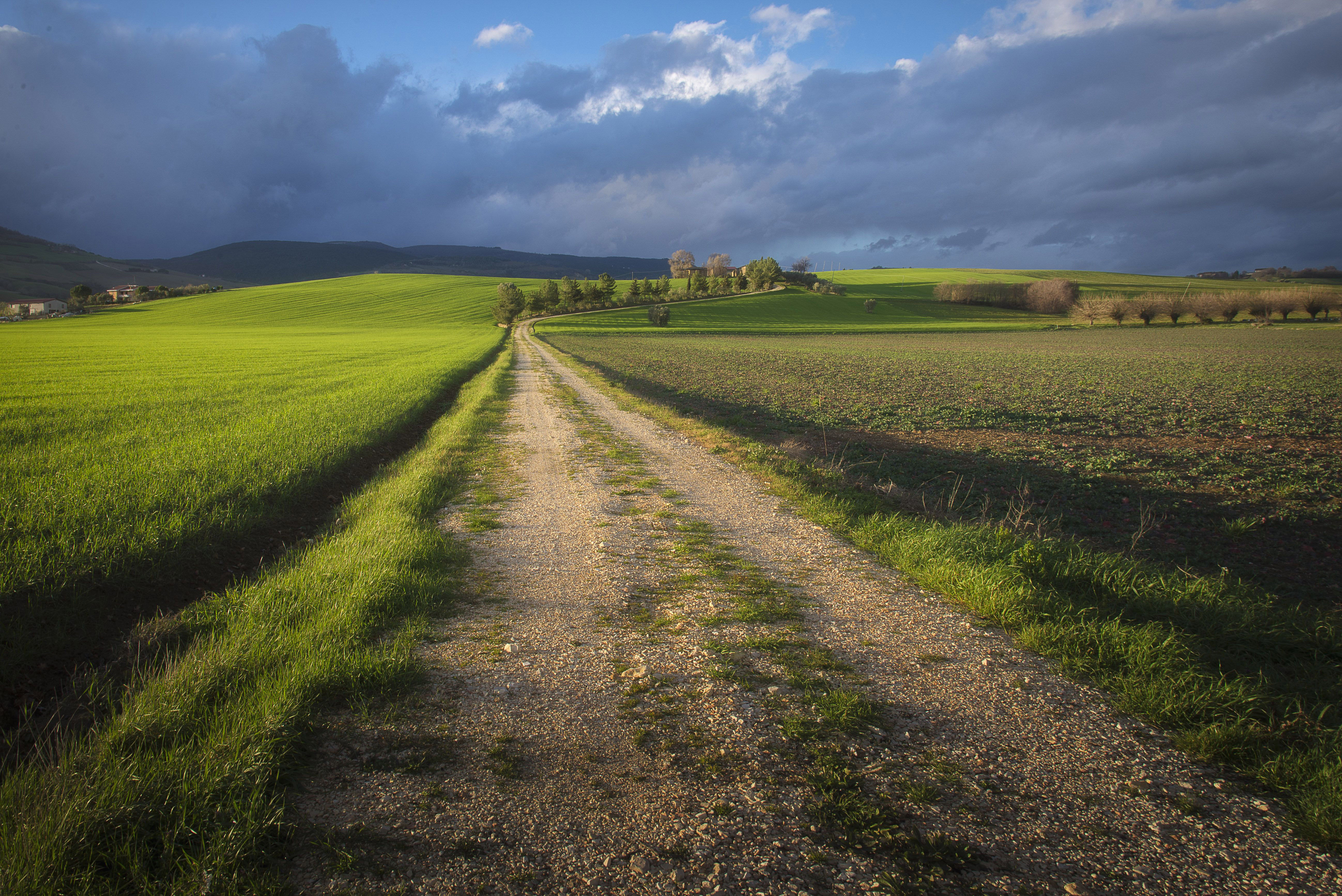 Photo free field, country road, landscapes