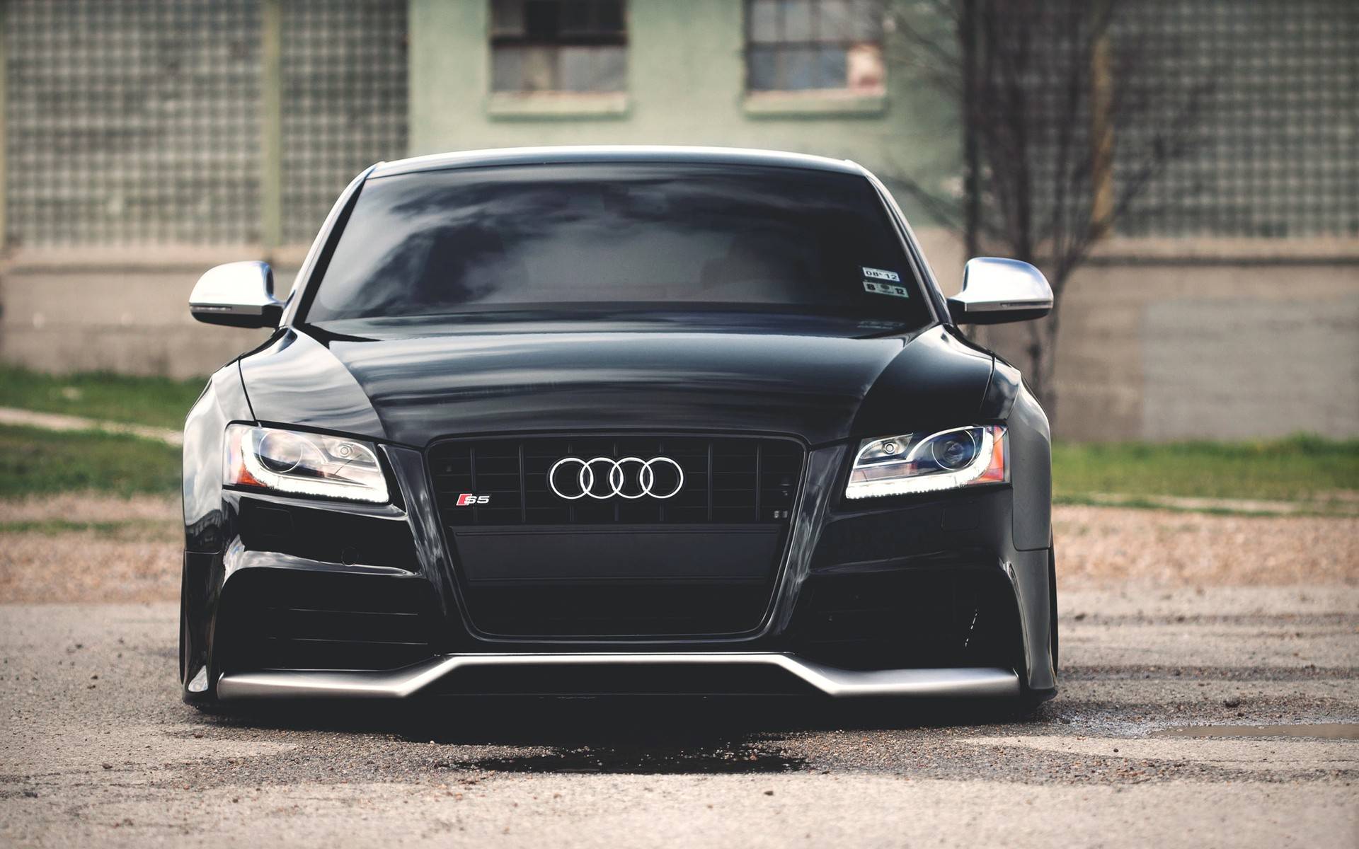 Wallpapers black audi tuning cars on the desktop
