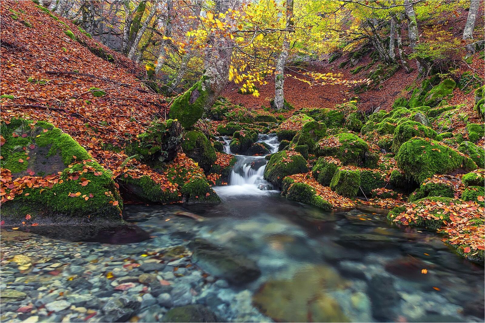 Wallpapers autumn small river waterfall on the desktop