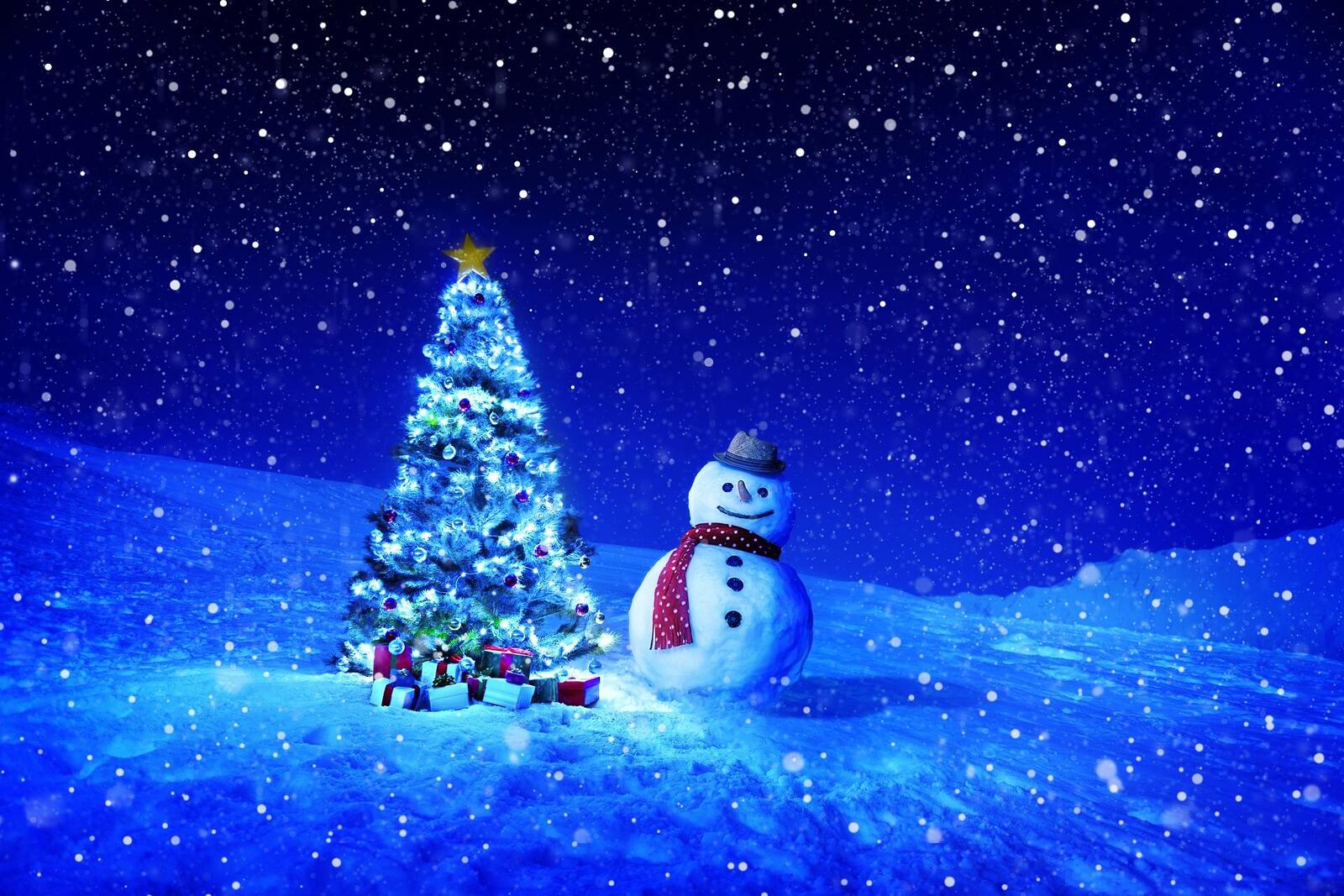 Wallpapers Snowman Christmas tree hat on the desktop