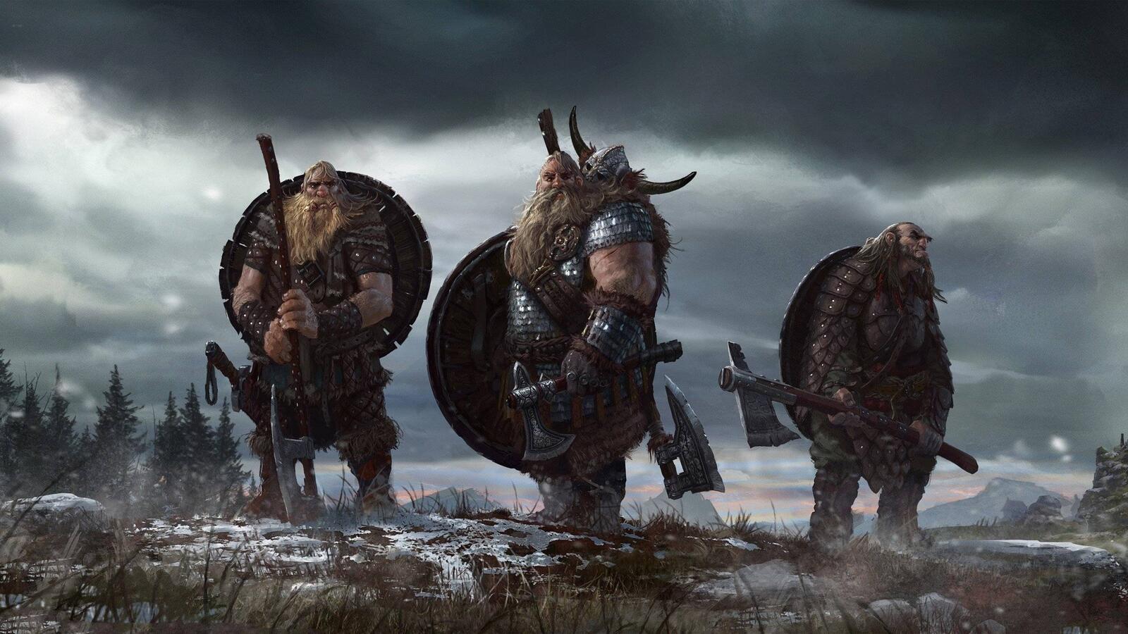 Wallpapers Vikings weapons shields on the desktop