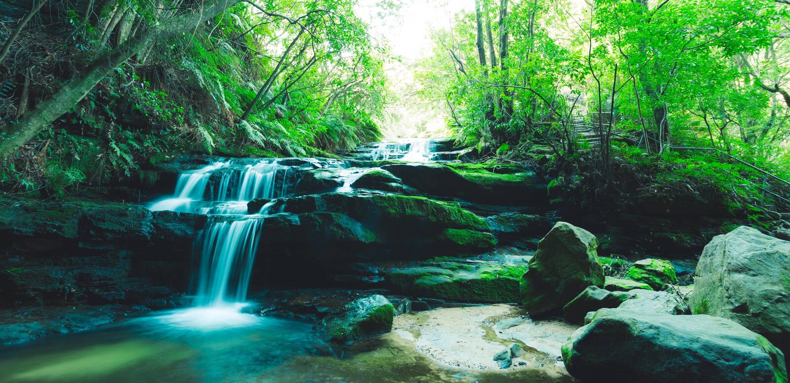 Wallpapers nature waterfall in the forest green foliage on the desktop