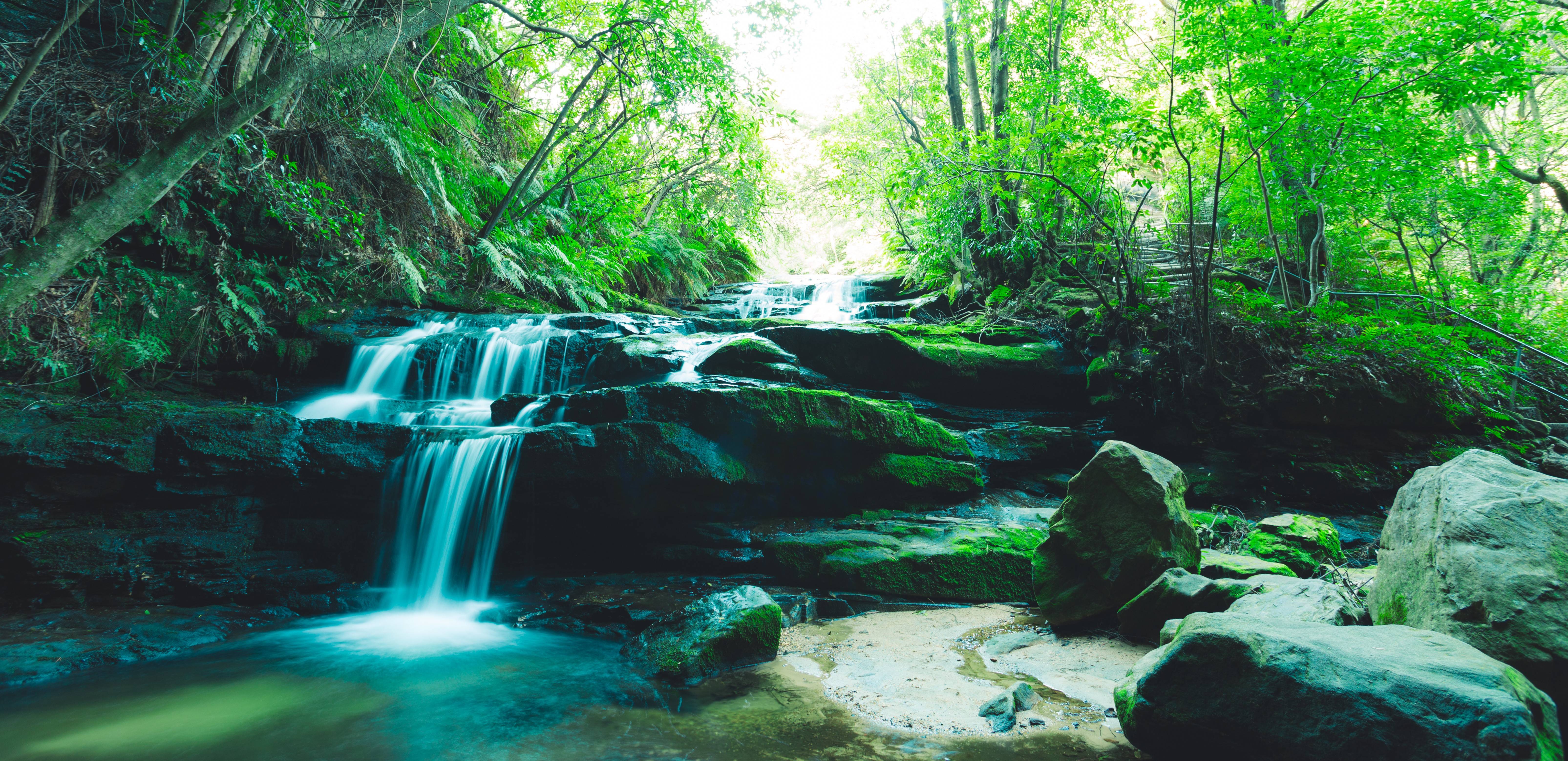 Фото бесплатно природа, водопад в лесу, зеленая листва