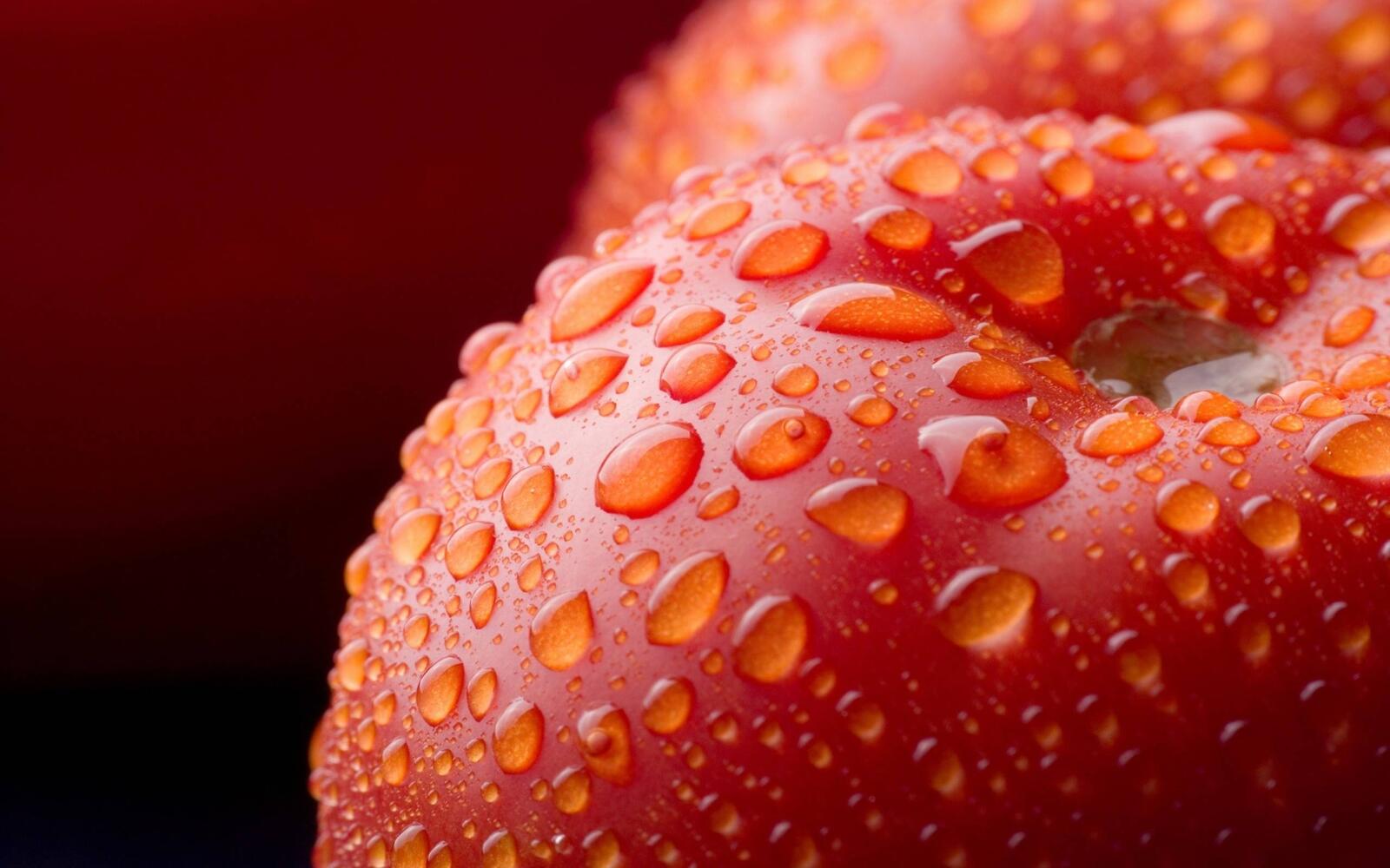 Wallpapers tomato water drop food on the desktop