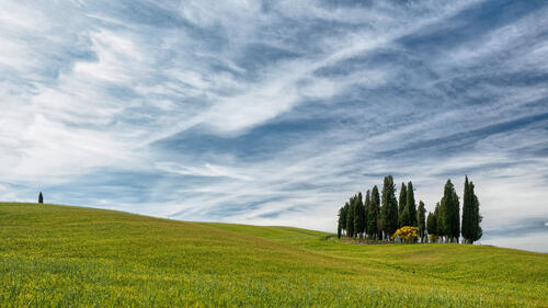Италия зеленая трава зеленое поле