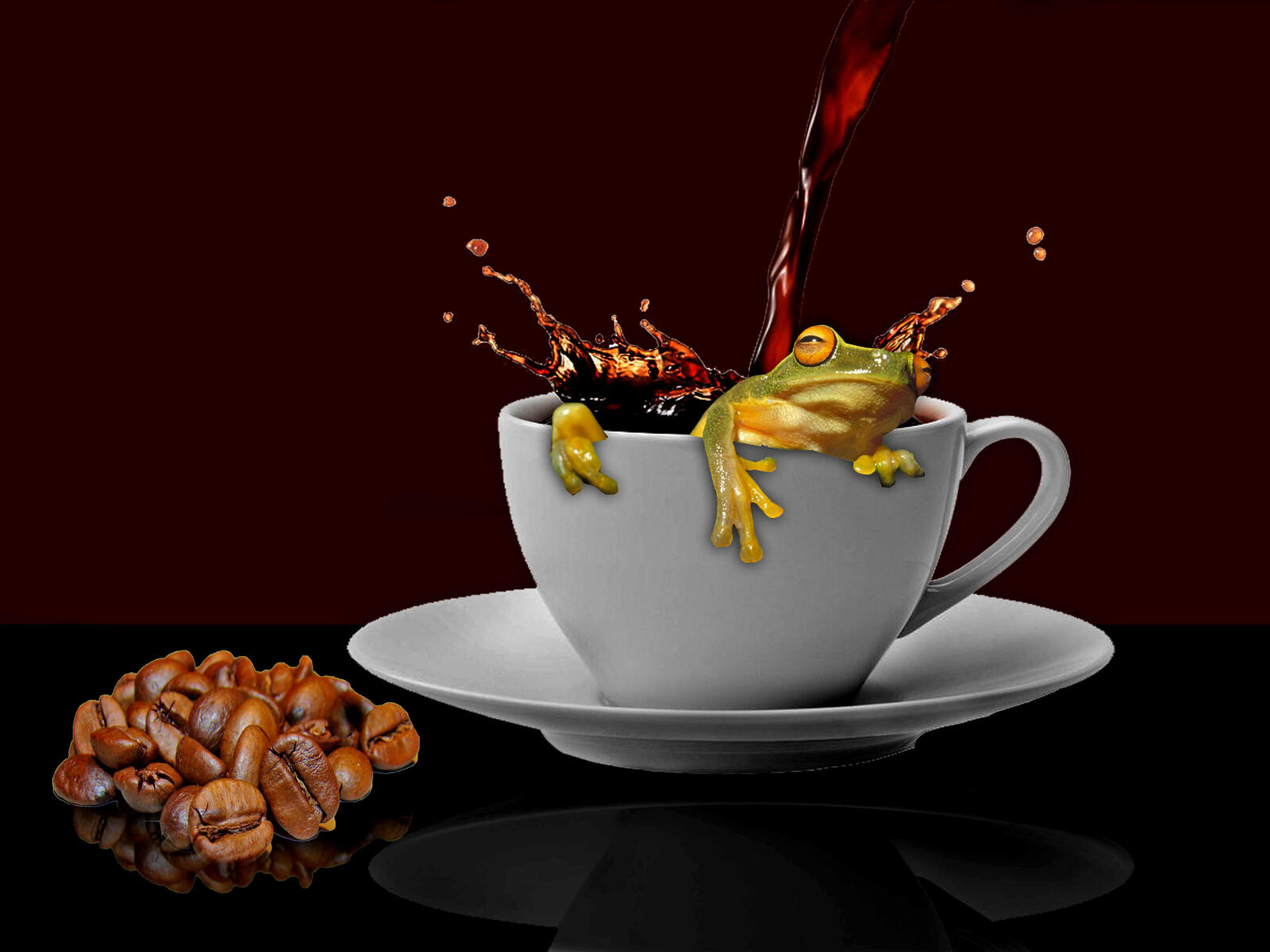 Wallpapers cup coffee frog on the desktop