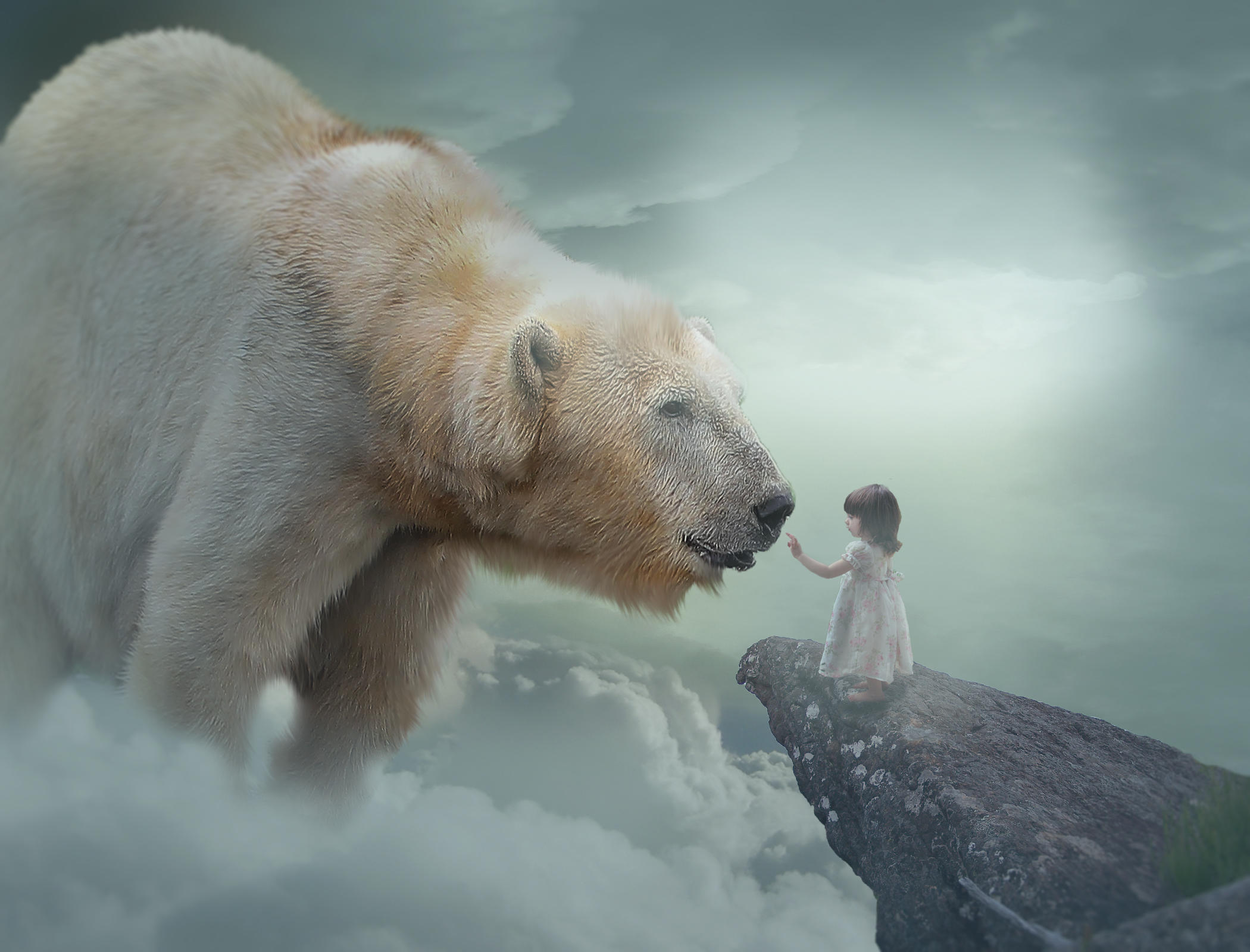 Обои белый медведь полярный медведь девочка на рабочий стол