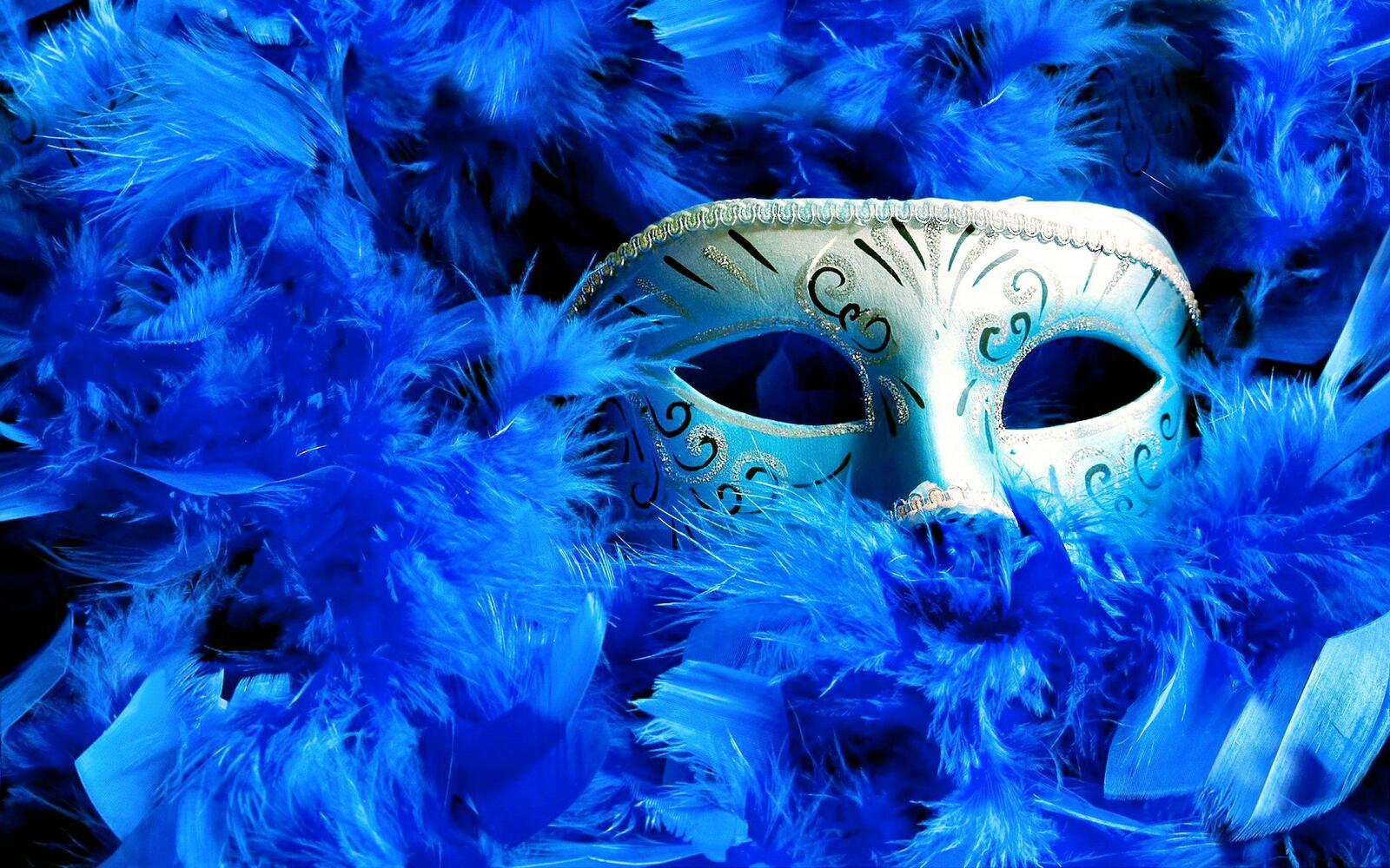 Wallpapers fluff feathers mask on the desktop