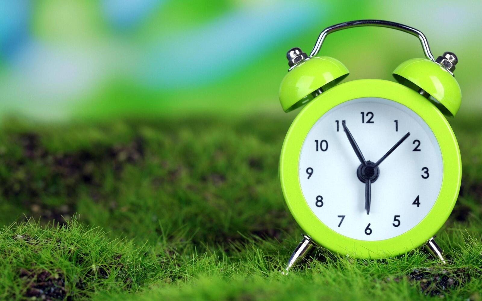 Wallpapers alarm clock green grass lawn on the desktop