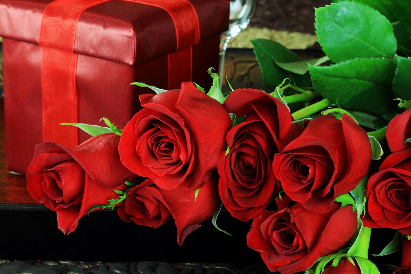 Обои красные бутоны цветы красные розы на рабочий стол