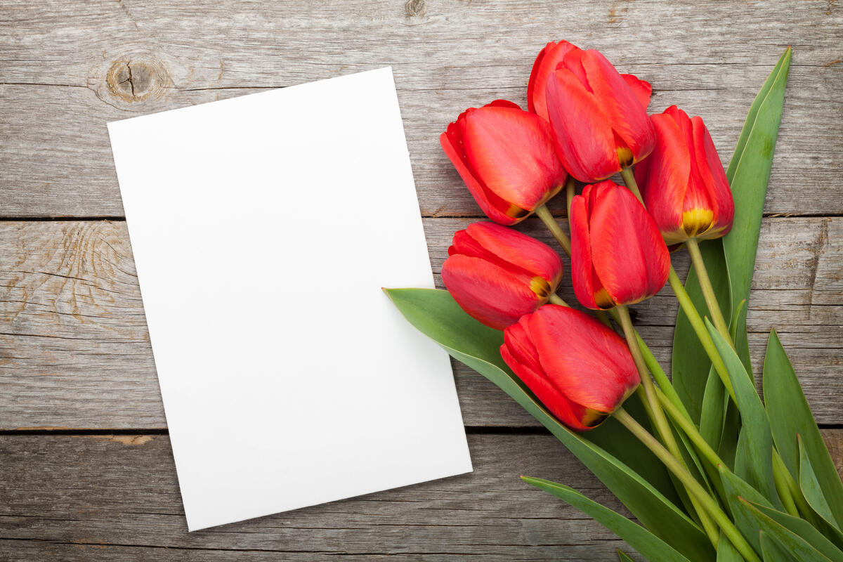 A bouquet of red tulips with a white leaf
