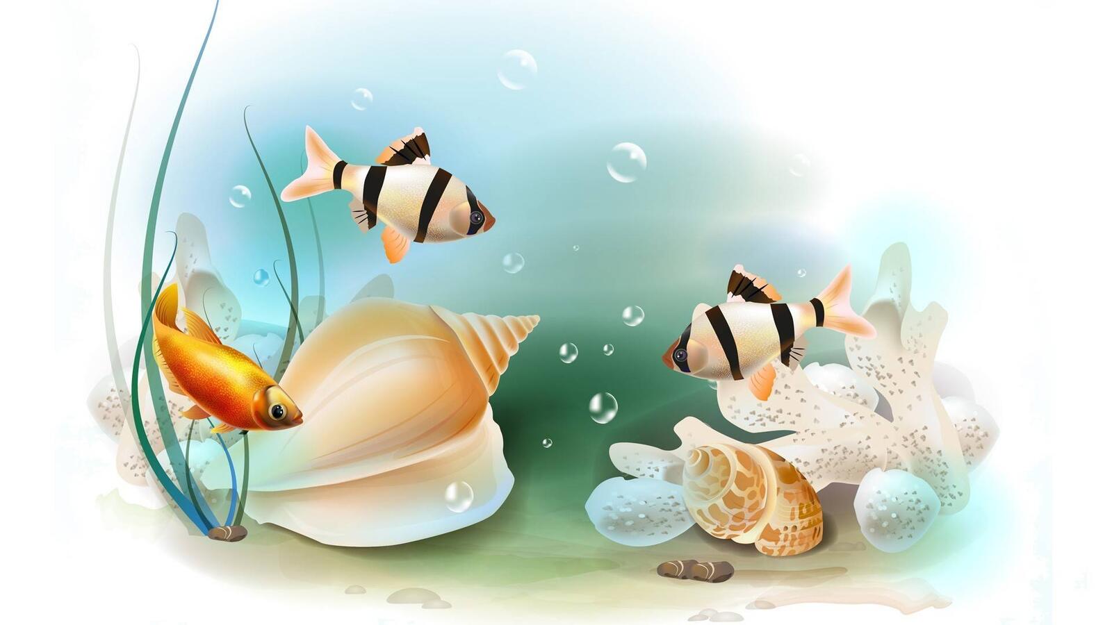 Wallpapers aquarium fish barbs on the desktop
