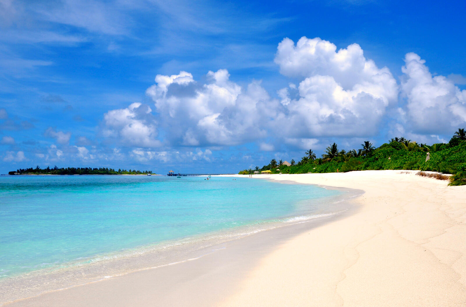 Обои песчаный пляж пальмы вид с берега на рабочий стол