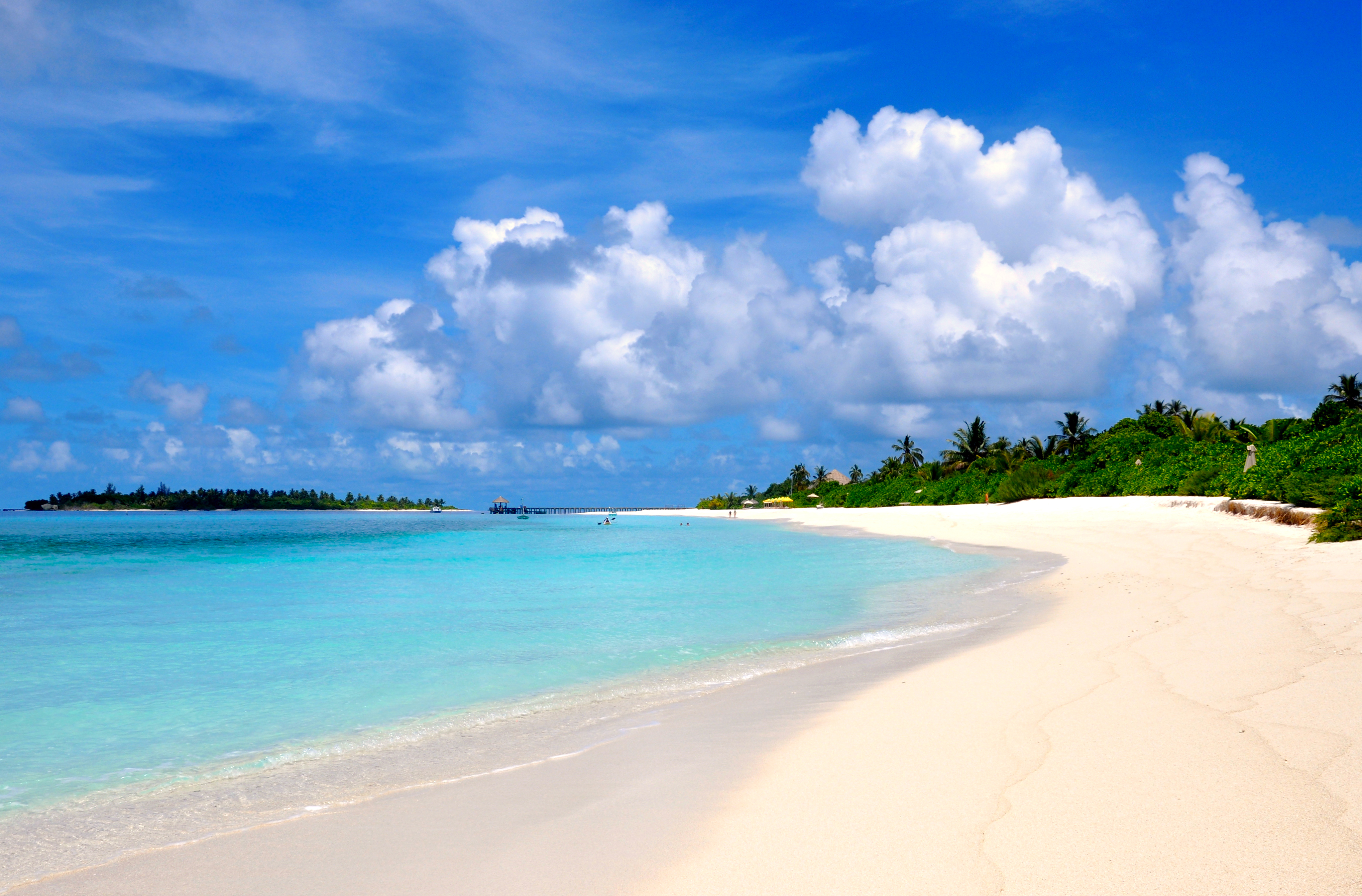 Обои песчаный пляж пальмы вид с берега на рабочий стол
