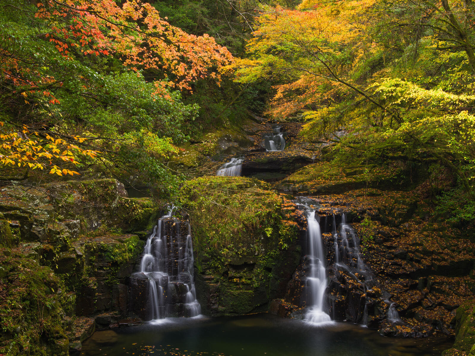 Wallpapers waterfall in the forest autumn forest forest on the desktop