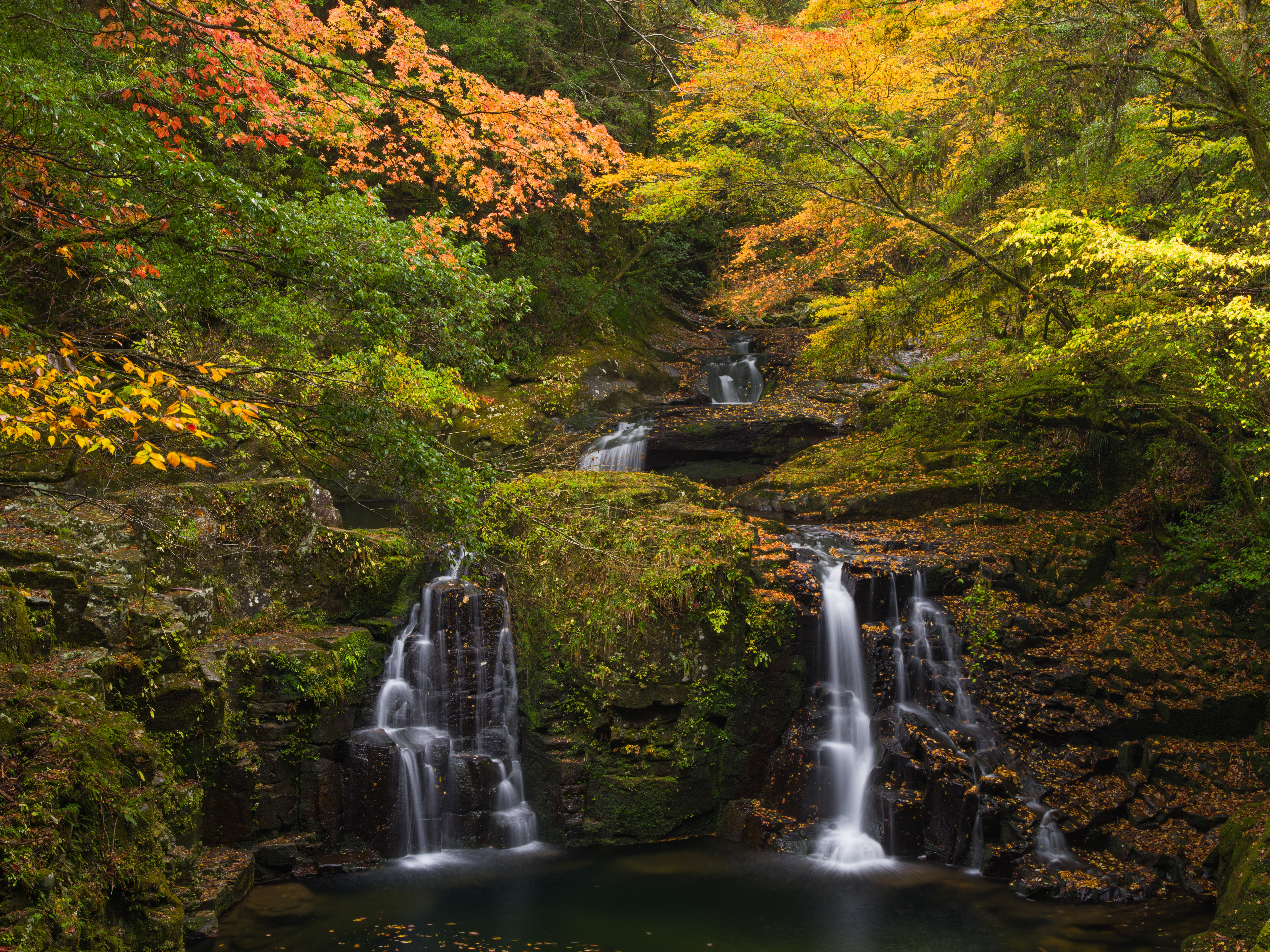 Photo free waterfall in the forest, autumn forest, forest