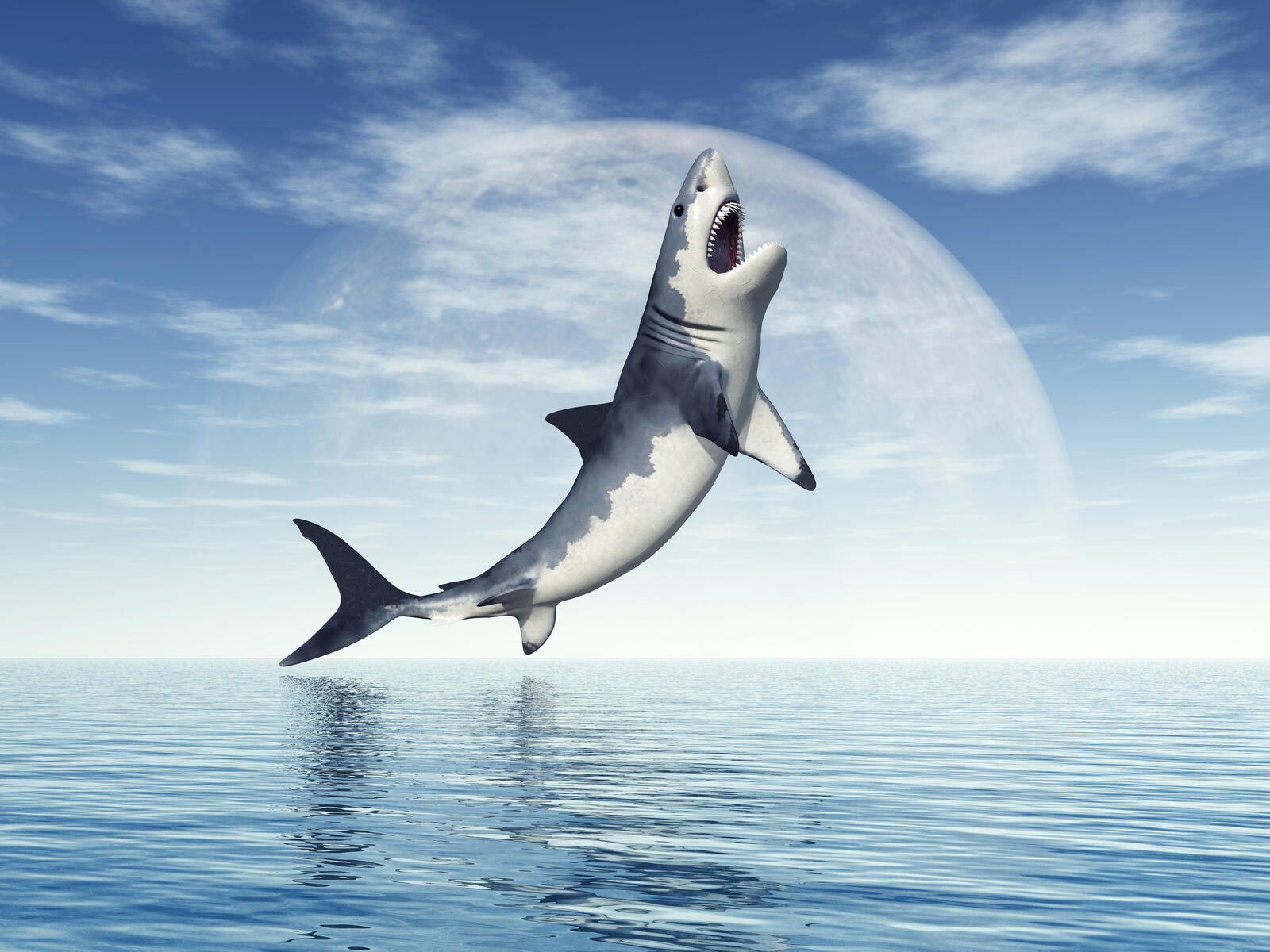 Wallpapers shark predator grin on the desktop