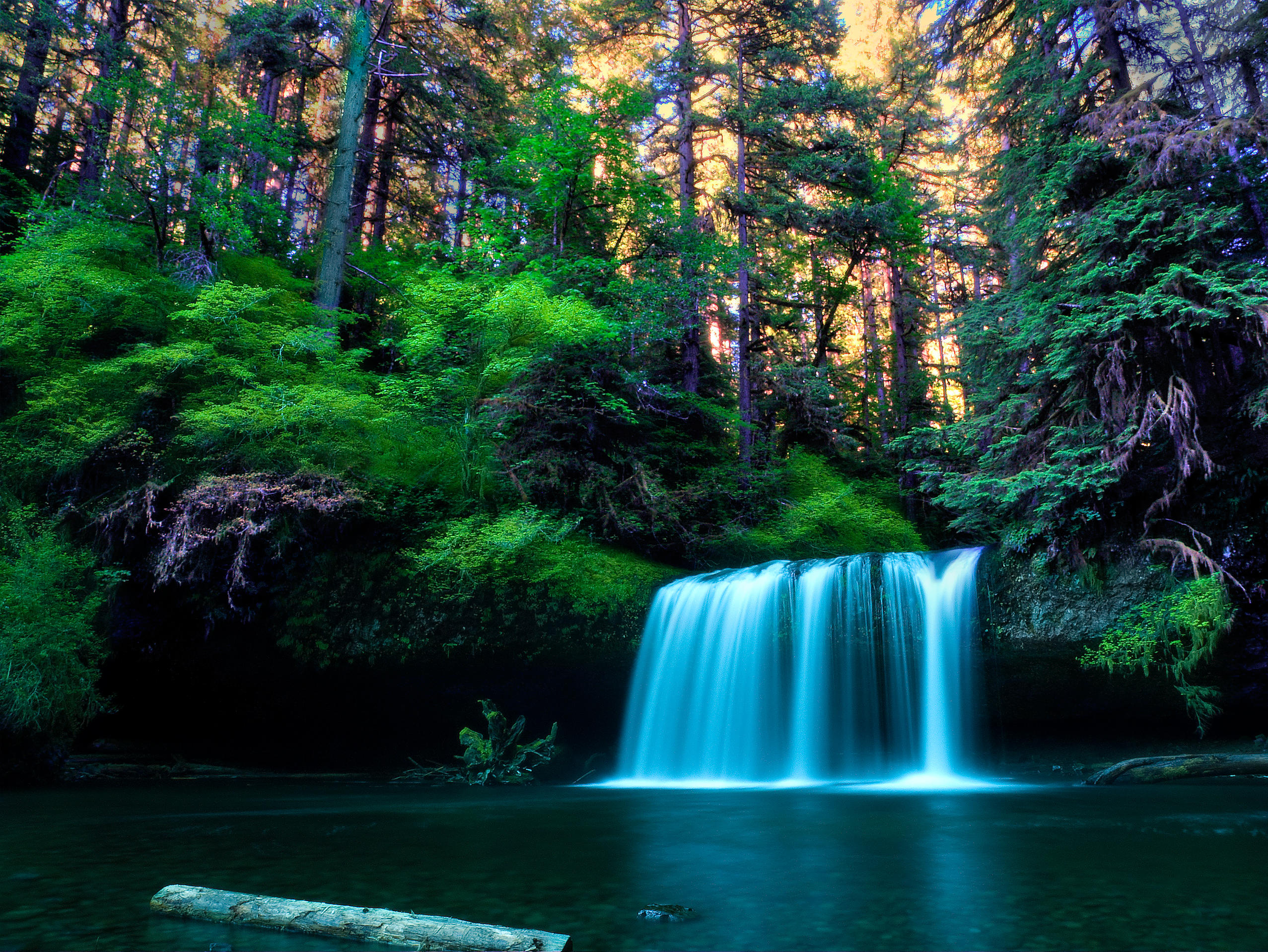 Wallpapers green foliage forest waterfall in the forest on the desktop