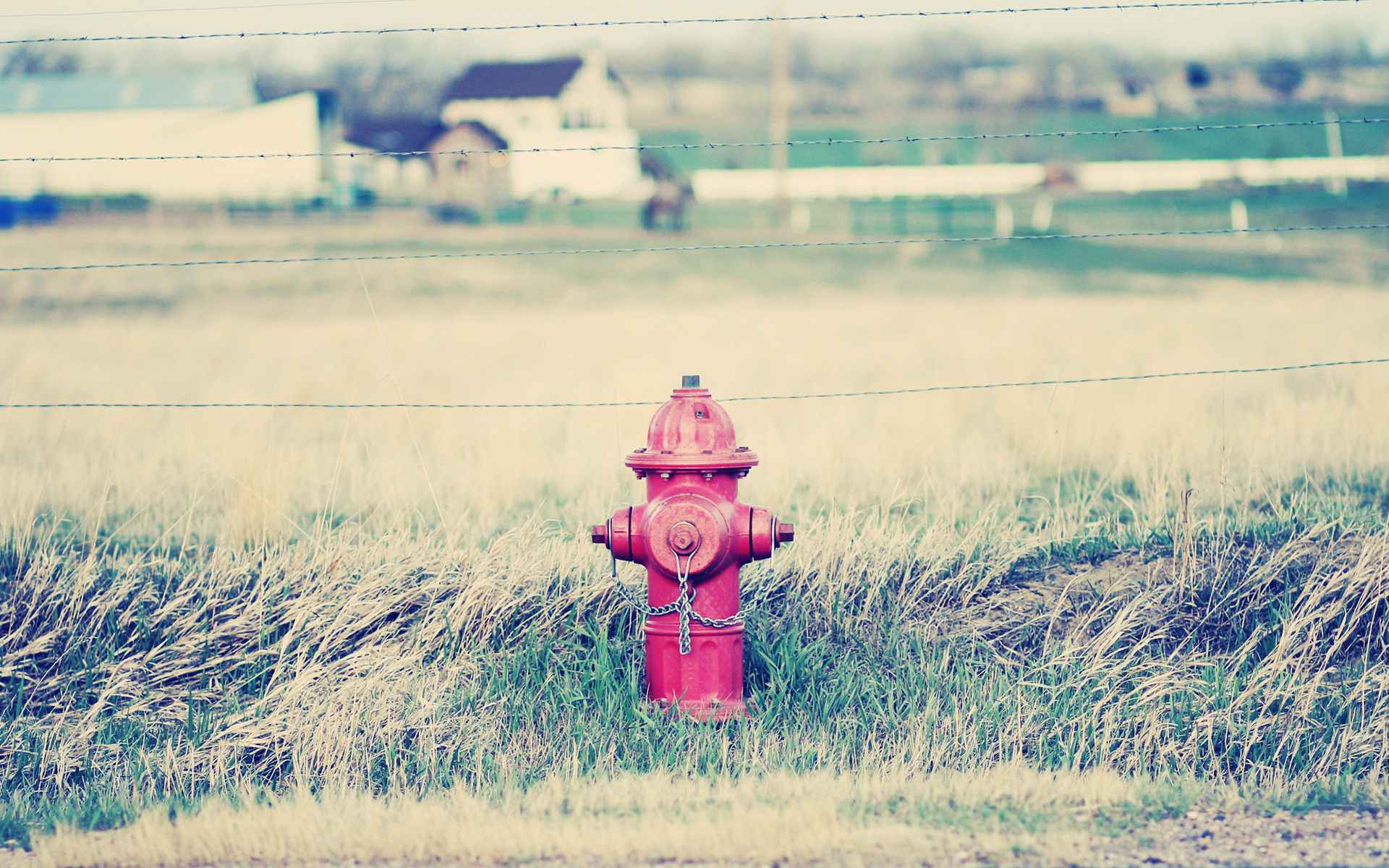 Обои пожарный гидрант красный трава на рабочий стол