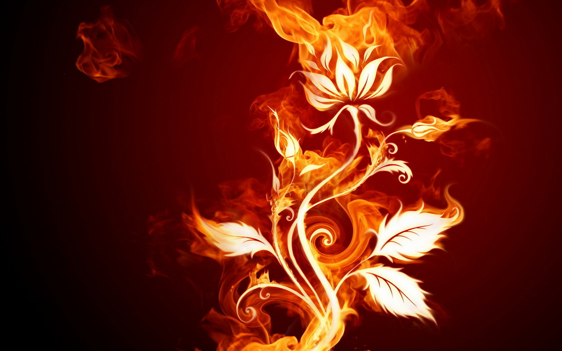 Wallpapers fire petals tongues on the desktop