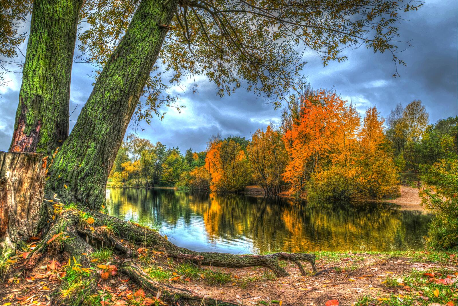 Бесплатное фото Осенние берега у реки