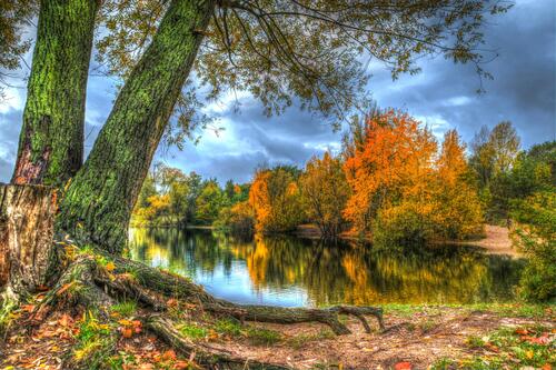 Autumn shores by the river