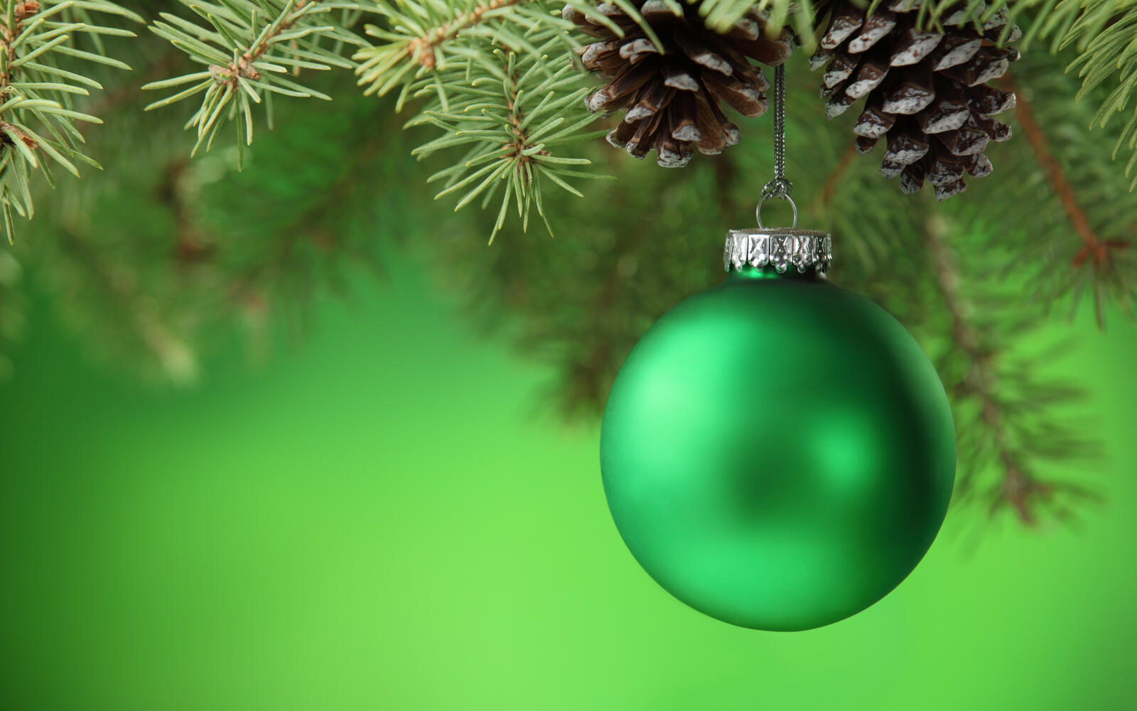 Wallpapers Green ball and cones spruce branches ball on the desktop