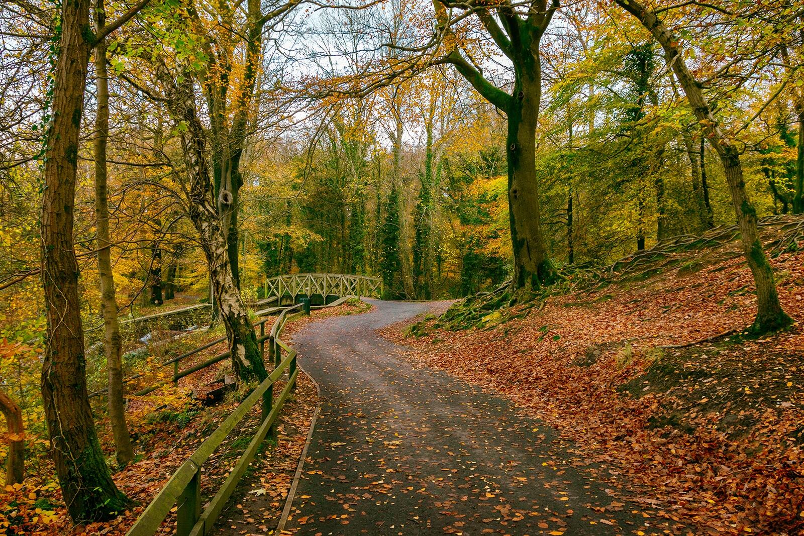 Wallpapers Gnoll Estate Country Park Neath South Wales Autumn on the desktop