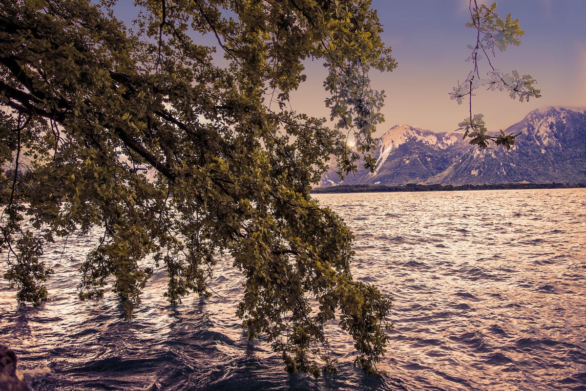 免费屏幕保护程序 瑞士日内瓦湖