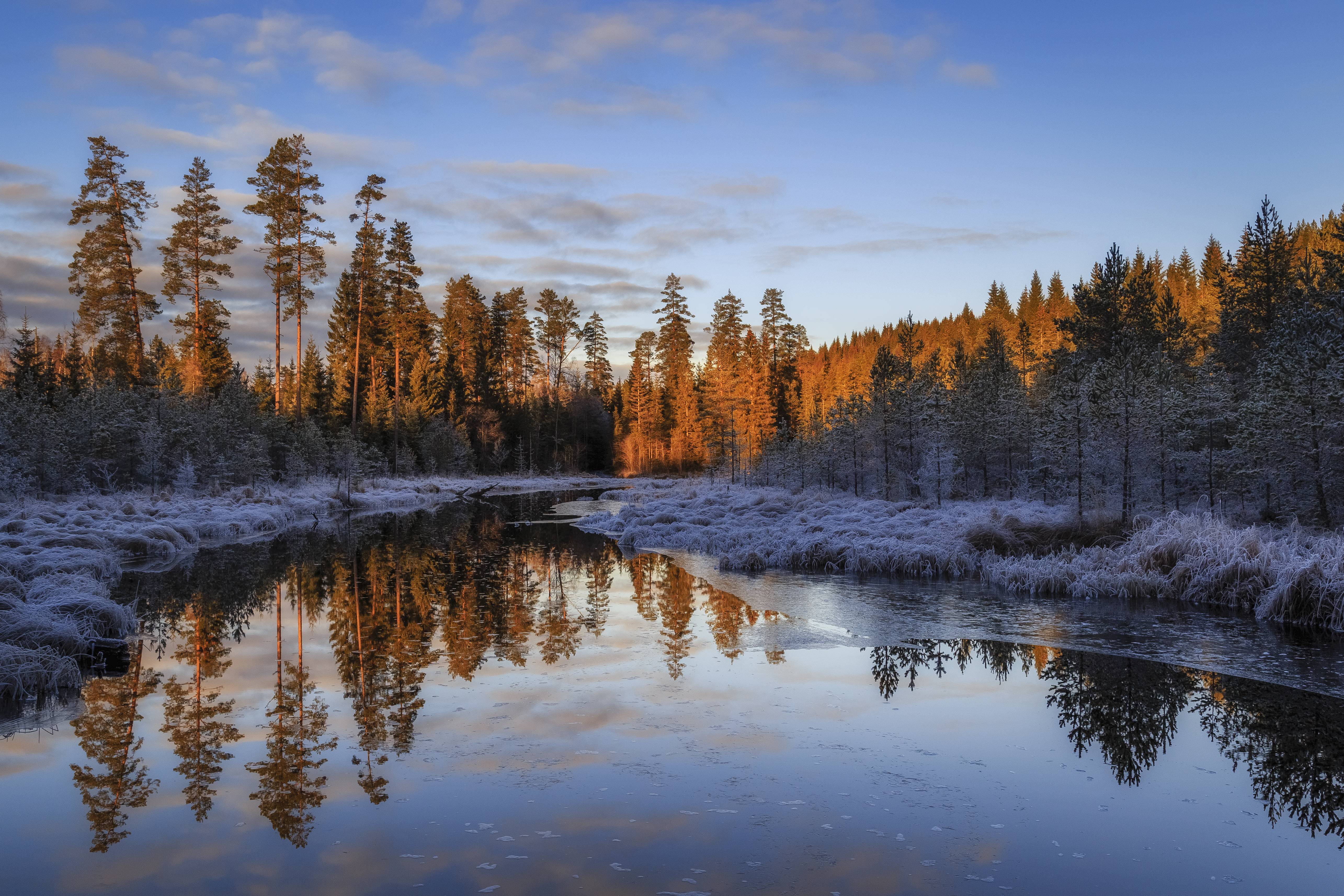 Wallpapers snowy shores forest river on the desktop