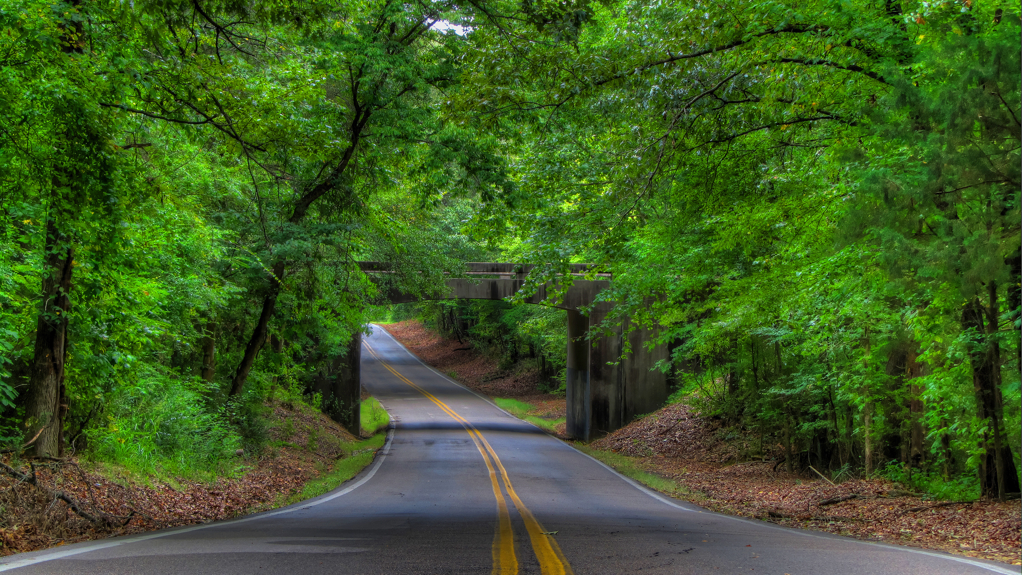 Wallpapers Natchez Trace Pkwy Tupelo Mississippi on the desktop